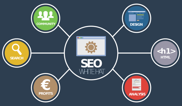 Seo Nedir?